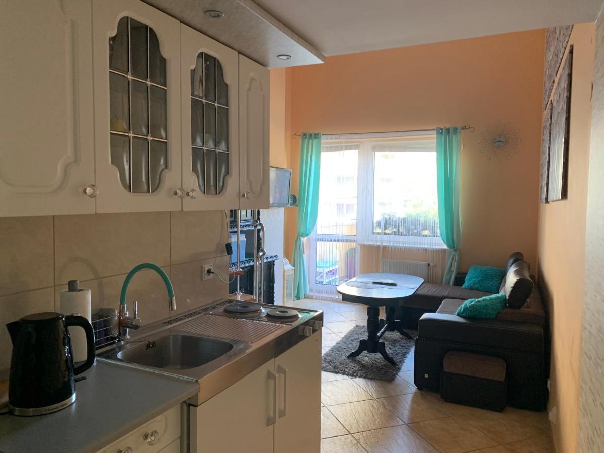 Apartament Sloneczny ミエンジズドロイェ エクステリア 写真