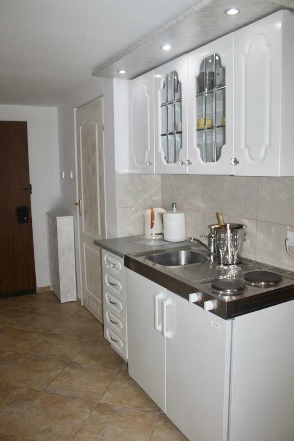 Apartament Sloneczny ミエンジズドロイェ エクステリア 写真